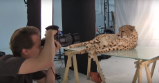 Fearless Photographer Brings Wild Animals Into His Studio