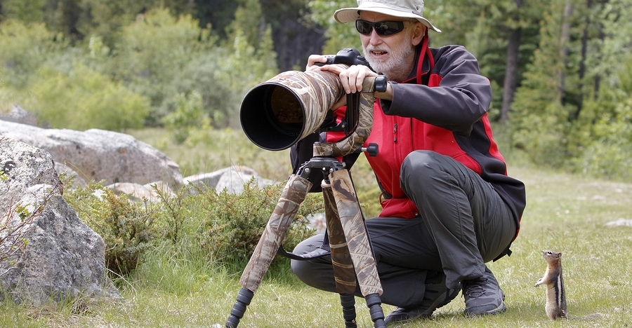 4 Essential Items That Will Help You Capture Outstanding Nature And Wildlife Images