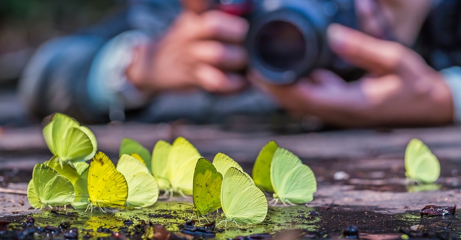 The Secret Source Of Prize Worthy Nature Photography Ideas Modern 