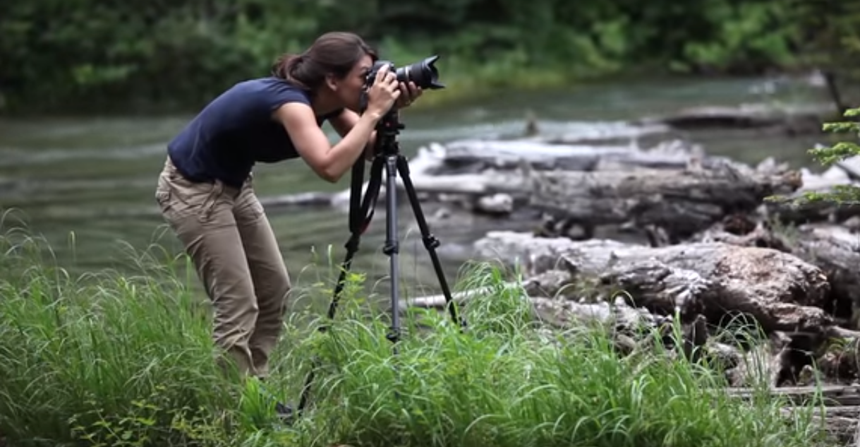 The Best Nature And Landscape Photography Tips For Beginners And Advanced Hobbyists