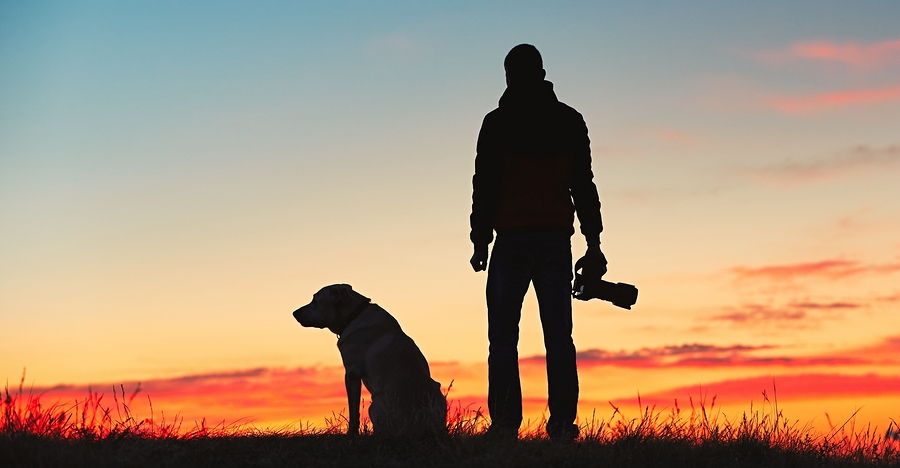 How A Dog Can Help You Become A Better Photographer
