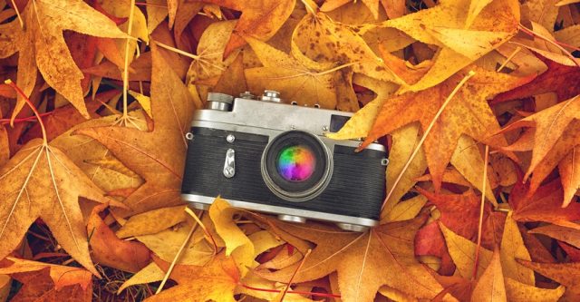 Top 3 Tips For Astonishing And Colorful Fall Photography - Modern Lens ...